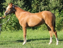 Daventrys Life Is Bluetiful