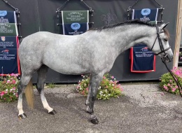 Daventrys Living The High Life