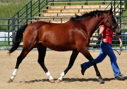 Woodlands Best Dressed