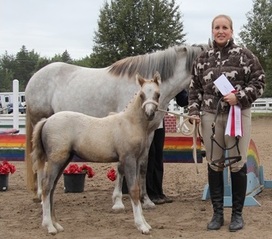 Daventrys Ruby Slippers