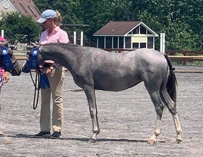 Anderins Royal Bouquet