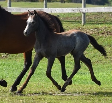 Daventrys Paperback Writer