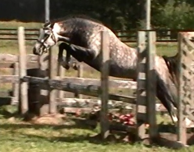 Photo Credit: Kara Strobel