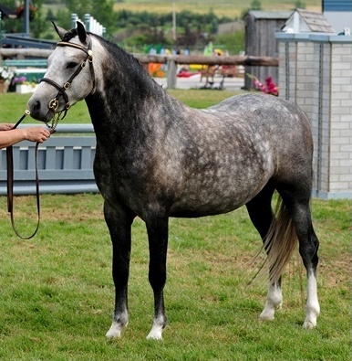 Photo Credit: Briarwood Photography