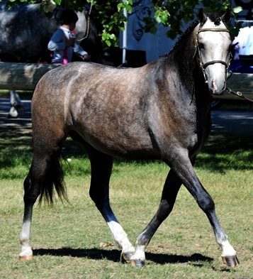 Photo Credit: Briarwood Photography