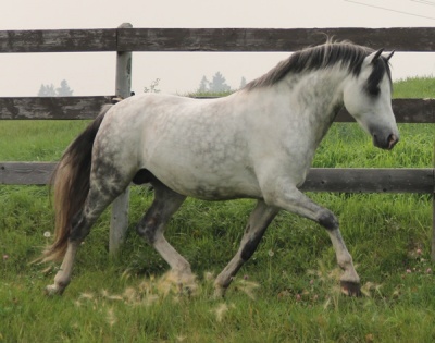 Daventrys Power Play