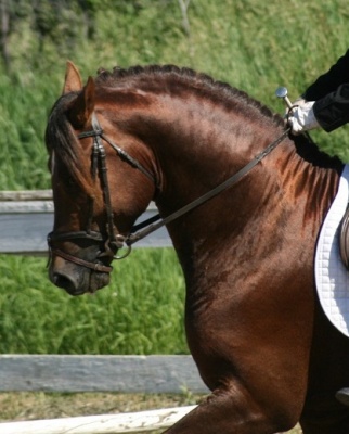 Photo Credit: Sarah Pay Photography