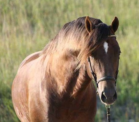 Photo Credit: Tammy Cooper