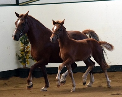 Photo credit: Ann Daum Kustar