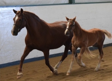 Photo Credit: Ann Daum Kustar