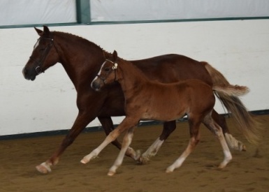 Photo credit: Ann Daum Kustar