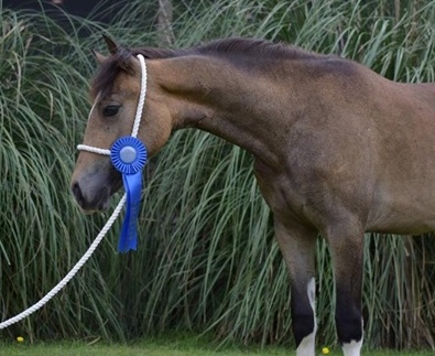 Photo credit: Mary Francis Mangum