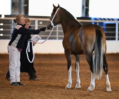 Photo Credit: Lynn Novay Photography