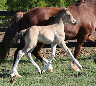 Whats Up Buttercup - 2 Weeks Old
