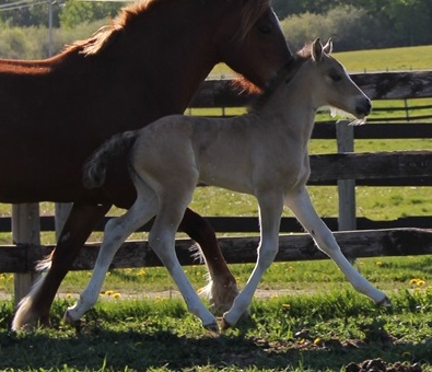 Whats Up Buttercup - 2 Weeks Old