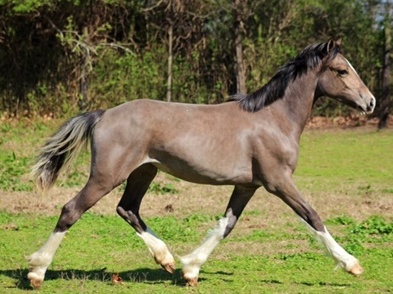 Photo credit: Julia Hunsberger