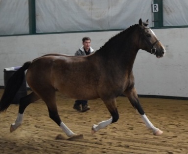 Photo credit: Ann Daum Kustar