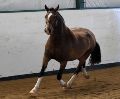 Photo Credit: Ann Daum Kustar