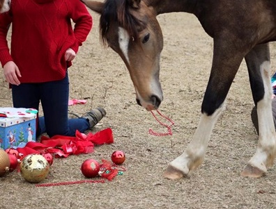 Photo Credit: Mary Francis Mangum