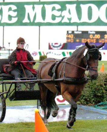 Tracy Dopko driving Edens Winston at Spruce Meadows
Photo credit: Cansport