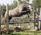 Daventrys Power Play